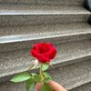 user241992877
