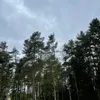 dygamer06