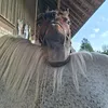 lifewithmytwomare