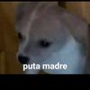 maxmaxfut