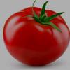 tomato_ua2