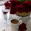 hamid.hajji4