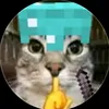 taothichchsminecraft