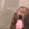 whyv4mpiresdied