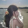12_seno