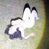 lisey