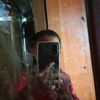arwinsyahputrar