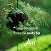 anh.phng755