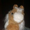 starstableandstrideway8