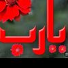 user1043631727392