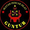 Pesilat guntur