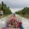 bua.phuc.tran