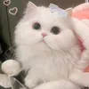 th_huong202