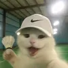 rap_the_matters