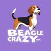 beaglecrazyworld