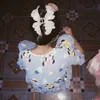 _susu.cutii_