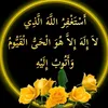 user26198247994784