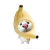 nhincailonnnnnn2