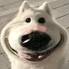 hrarki