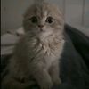 tiktok_account_002