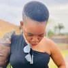 danislie.shingange