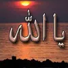user3362493651020