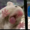 mlbbcreatorbase0706