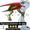 fernandorios633