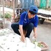 nature_jjjj