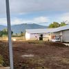 farmkurnia888