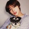 hafsa.hamada5