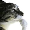 thethinker235
