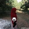 lifah_aja40