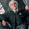 .draco81
