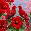 mohammed.sabbir80