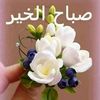 ahmadmostafa8823