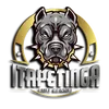 itapetinga_bullkennel