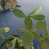 tony.k733