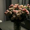 raukaa_65