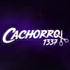 cortescachorro1337