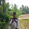 alfiz225