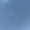 shammi.dhaliwal1