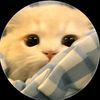 thet.phyo.wai12