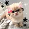 xyz_melxnxx