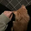 ff._tt_ss