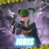 im_igris1