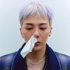 topgdot48