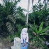 delaa_aee2
