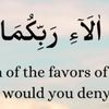 farihanaqvi061
