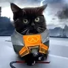 nikita_200897